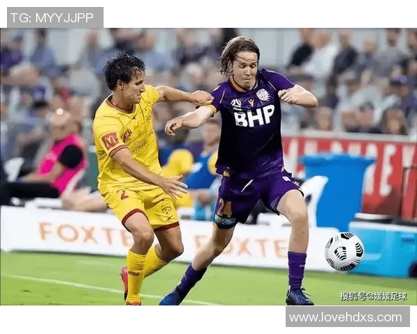 霍芬海姆与勒沃库森2019年精彩对决回顾与分析